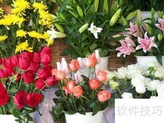 花店创业指南：从零开始