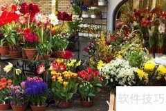 花店创业指南：从零开始