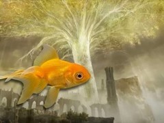 金鱼Tortellini离世：曾自动通关艾尔登法环