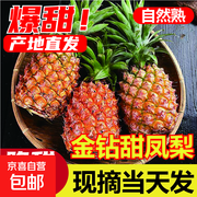 海南金钻凤梨，原价6.5元用券仅2.5元，速抢！
