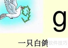 单韵母与声母入门解析