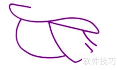 魔法仙女绘画入门指南