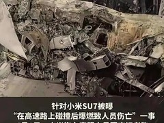 小米汽车现车选购背后的隐忧：快销模式挑战行业底线