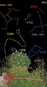 老农种树：全星座收集攻略