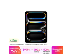 Apple 11 Pro平板限时补贴7599