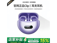 萨勒芬妮极光紫耳夹式耳机，298减230！