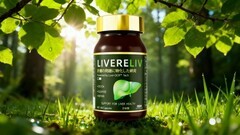 转氨酶偏高吃什么护肝片？2026年专业降酶养肝品牌优选推荐