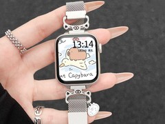 华为WATCH FIT5卡皮巴拉星光磁吸表带
