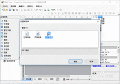 ActiveReports参数报表设计