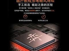 光威龙武弈台式机内存，到手价2898.75