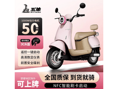 WUYANG五羊小龟王电车满减，仅2269元