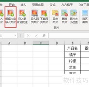 Excel批量导入指定图片