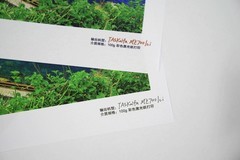 办公全能手：京瓷TASKalfa MZ2501ci智能复合机为何值得选？