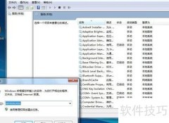 查看启用服务器项方法