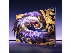 雷鸟鹤6 Ultra 75英寸Mini LED电视