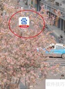 斗罗大陆模组手机版下载