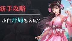 九州三国志新手入门指南