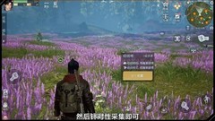 黎明觉醒：生机高效采集攻略