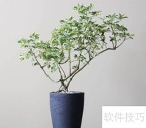 花草移植全攻略