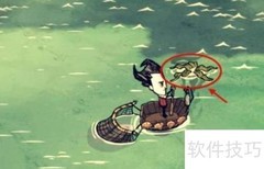 饥荒海带移植方法