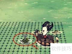 饥荒海带移植方法