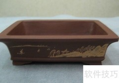 盆景移植技巧与步骤