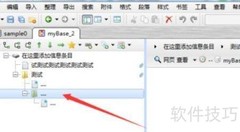 Mybase添加项设置技巧