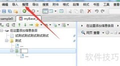 Mybase添加项设置技巧
