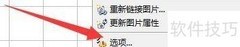 GenoPro状态栏显示内存设置