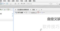 Mybase添加项设置技巧