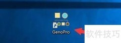 GenoPro网格显示设置方法