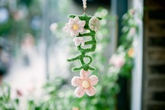 尼康Z6III+尼克尔 Z 24-120mm f/4 S，一镜搞定旅行大片