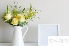 船东单与货代单区别解析