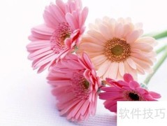 船东单与货代单区别解析