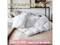 维克多95%鹅绒春秋被抢购