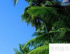 二次元测试软件使用指南