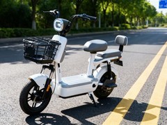 新国标实施首月电动自行车销售遇冷