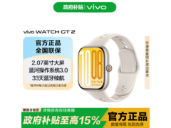 vivo WATCH GT 2新年特惠373元