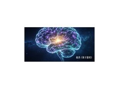 DNA差异说明意识构成的独特性| 赵杰 | 量子意识