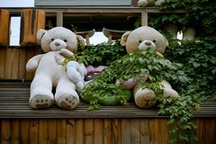 尼康Z6III+尼克尔 Z 24-120mm f/4 S，一镜搞定旅行大片