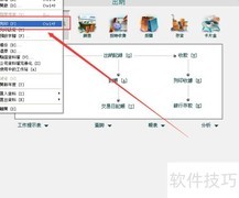MYOB会计科目打印指南