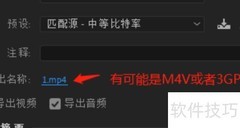 PR选H.264为何非MP4