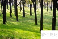 票据的五大功能解析