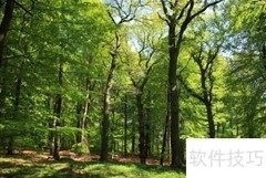 票据的五大功能解析