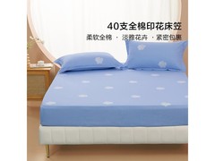 百丽丝一朵知夏床笠