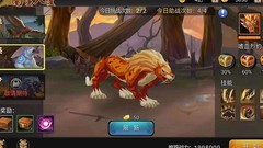 三国战纪：战宠搭配攻略