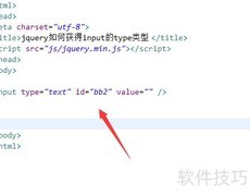 jQuery获取input的type类型方法