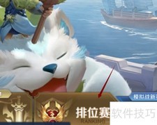 王者50强100强晋级攻略