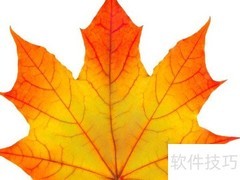 枫叶如火，点燃秋日诗意