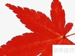 枫叶如火，秋日诗意画卷